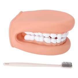 28 Teeth Mouth Hand Puppet with Tongue for Kids Speech Training Moveable Upper Lower Jaw Dental Mouth Puppet with Toothbrush