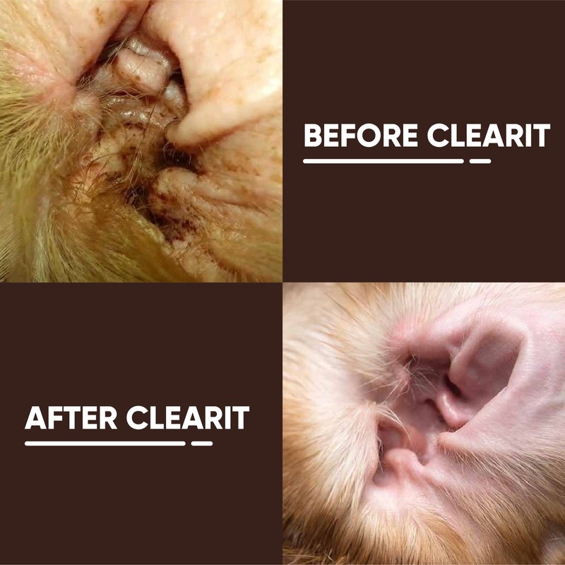 APP Clearit 20G Traditional Ear Powder & Clearit Advanced Ear