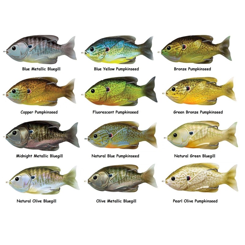LIVE TARGET Hollow Body Sunfish, One Size, Blue / Yellow