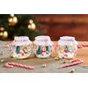 VBS Set of 4 Storage Jars/Candy Jars