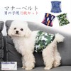 Feather Store Dog Manor Belt, 3-piece Set, Male, Mesh Lining,