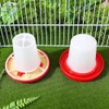 Garneck Garneck 1 Set Quail Feeder Chick Feeder Quail Waterer
