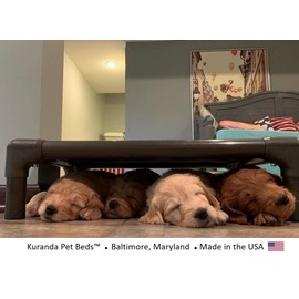 Kuranda Chewproof Dog Bed - Walnut PVC - 30" x 20" - Cordura Nylon - Smoke