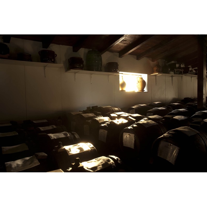 ORGANIC Balsamic Vinegar of Modena (Italy) IGP - 1 bottle