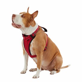 KONG Max Ultra Durable Padded Chest Plate Dog Harness BRAND NEW Asst. Colors! - Red, L