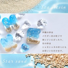 MYmama Sea Sand Resin Sand White Ocean Resin Art Enclosed Keychain (Star Sand)