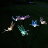 Illuminess 42000005s Fibre Optic Dragonfly String Lights (10 Pieces)