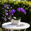 Sanmudecor Orchid Pot, White, 10 Inch, Rectangular Planter Flower Pot