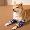 Dog Front Leg Joint Protector Sleeve,Elbow Sleeves with Mesh Pad