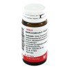 Apis/Levisticum II Globules Wala, 20 g Globules