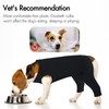 IDOMIK Dog Recovery Suit,Dog Leg Sleeve to Stop Licking Rear