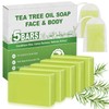 Tea Tree Oil Soap- Natural Body & Face Wash for