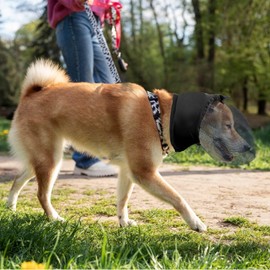 Field Guard Dog Head Net Mesh Protector Dog Face Guard
