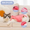Avont Cat Recovery Suit–Soft Post-Surgery Onesie, Breathable Cone-of-Shame Alternative for