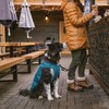 Ruffwear Stumptown Jacket Large Metolious Blue