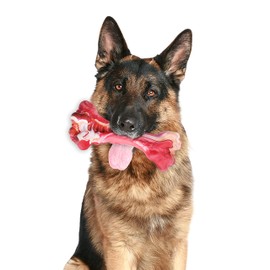 Indestructible Natural Rubber Chew Bone for Aggressive Chewers - Durable, Safe, Real Beef Flavor, Teeth Cleaning, Puppies, Large, Medium, Small