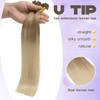 Sindra Pre Bonded U Tip Extensions Human Hair Light Ash