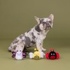 Fringe Studio Plush Dog Toy, 3 Pieces Set, WE’RE Super