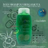 Ives Mexico - Ives Evolution Shampoo Bergamota Coco Hamamelis Romero