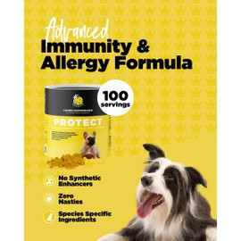 ProDog Protect Dog Itchy Skin Relief Allergy Supplement, 100 Servings, Improve Gut Health & Immunity to Target All Itch Spots: Itchy Skin, Hot Spots, Paw Licking, Tear Staining, Ear Odour, Scratching