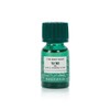 The Body Shop Tea Tree Oil 10ml / 더바디샵 티트리