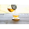 Takachiho Kampo Research Institute Germination is a Tea (Large) 72P