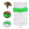Automatic Bird Water Dispenser Parrot Water Feeder Bird Seed Food
