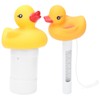 2Pcs Water Thermometer Set High Temperature Resistant Pool Chlorine Dispenser