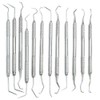 AAProTools 12 Piece Dental Probe Pick Tool Instrument Set Stainless