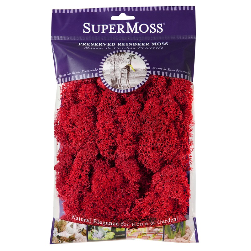 Super Moss (25122) Reindeer Moss Preserved, Red, 2oz
