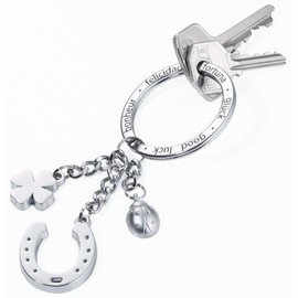 TROIKA Key Ring, Good Luck Blinger, Horseshoe TR-KR16-11/CH Keychain