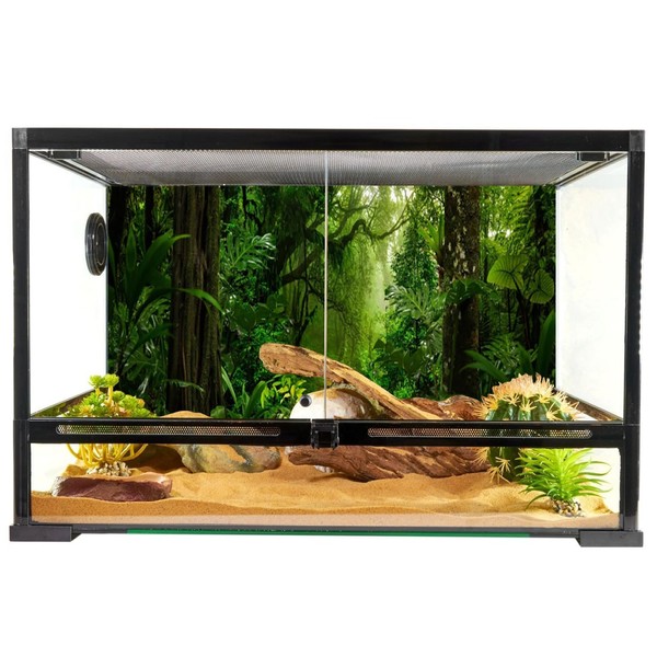 YongFoto Reptile Terrarium Background 24x16 inch Reptile Tank Background Tropical
