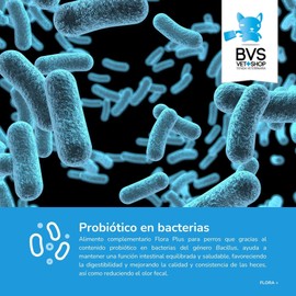 Barakaldo Vet Shop Flora Plus für Hunde, hilft bei der Erhaltung einer ausgewogenen und gesunden Darmflora bei Ihrem Haustier, 1 Stück x 15 g