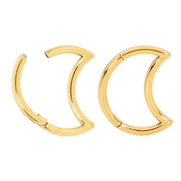 365 Sleepers Titanium 1.0 mm Segment Crescent Shape Nose Ring