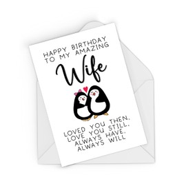 Rib ticklerz - Wife Birthday Card - Birthday Card For Wife With Penguins - Amazing Wife Birthday Card - Love You Still Always Will - Wifey Birthday Cards - CD477