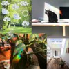 16Pcs Rainbow Suncatcher Window Clings Anti Collision Window Stickers Decals