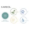 Kareol Braliss Shampoo Post- Alisado X 300 Ml