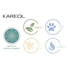 Kareol Braliss Shampoo Post- Alisado X 300 Ml