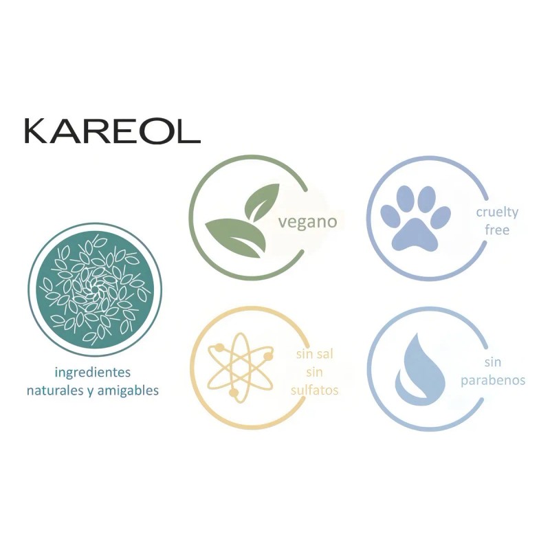 Kareol Braliss Shampoo Post- Alisado X 300 Ml