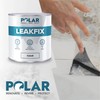 Polar Clear Leak Fix Paint - 85 oz - One