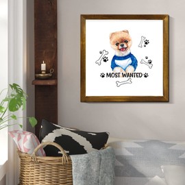 Saint Bernard Framed Wood Sign Most Wanted Funny Dog Quote Wooden Wall Art Animal Paw Print with Dog Bone Farmhouse Home Living Room Kitchen Decor Dog Dad Gift 12"x12"