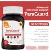 Herbal Digestive Support Softgels with Black Walnut, Wormwood & Garlic