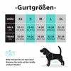 PoyPet No Pull Dog Harness, Reflective Dog Harness for Dogs