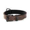 Real Leather Dog Collar with Neoprene Layer - Padded and