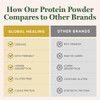 Global Healing Organic Plant Chocolate Protein Powder for Men and