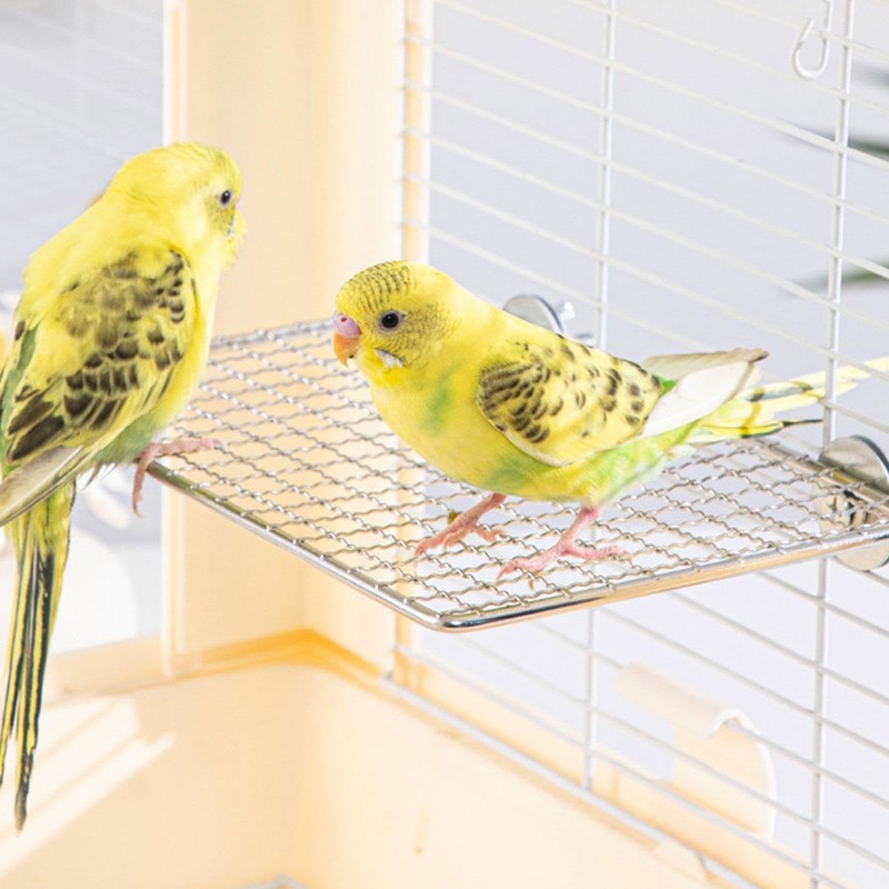 Parrot Cage Stand - Stainless Steel Parrot Perch Shelf -
