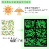 Copeflap Dinosaur Fish Glow Glow in the Dark Stickers, Luminous