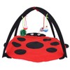 Foldable Cat Activity Play Mat Tent Multifunction Pet Bed with