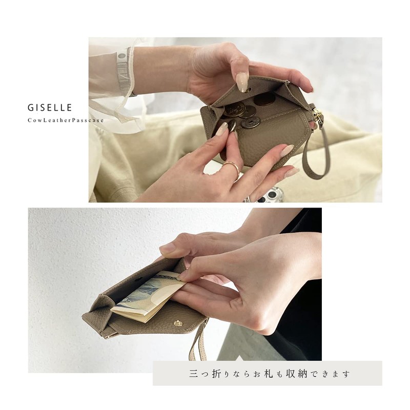 Giselle Pass Case, Commuter Holder, Selectable Reel, Coin Purse, Card