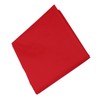 Flat Slide Sheet Breathable Reusable Red Transfer Slide Sheet for